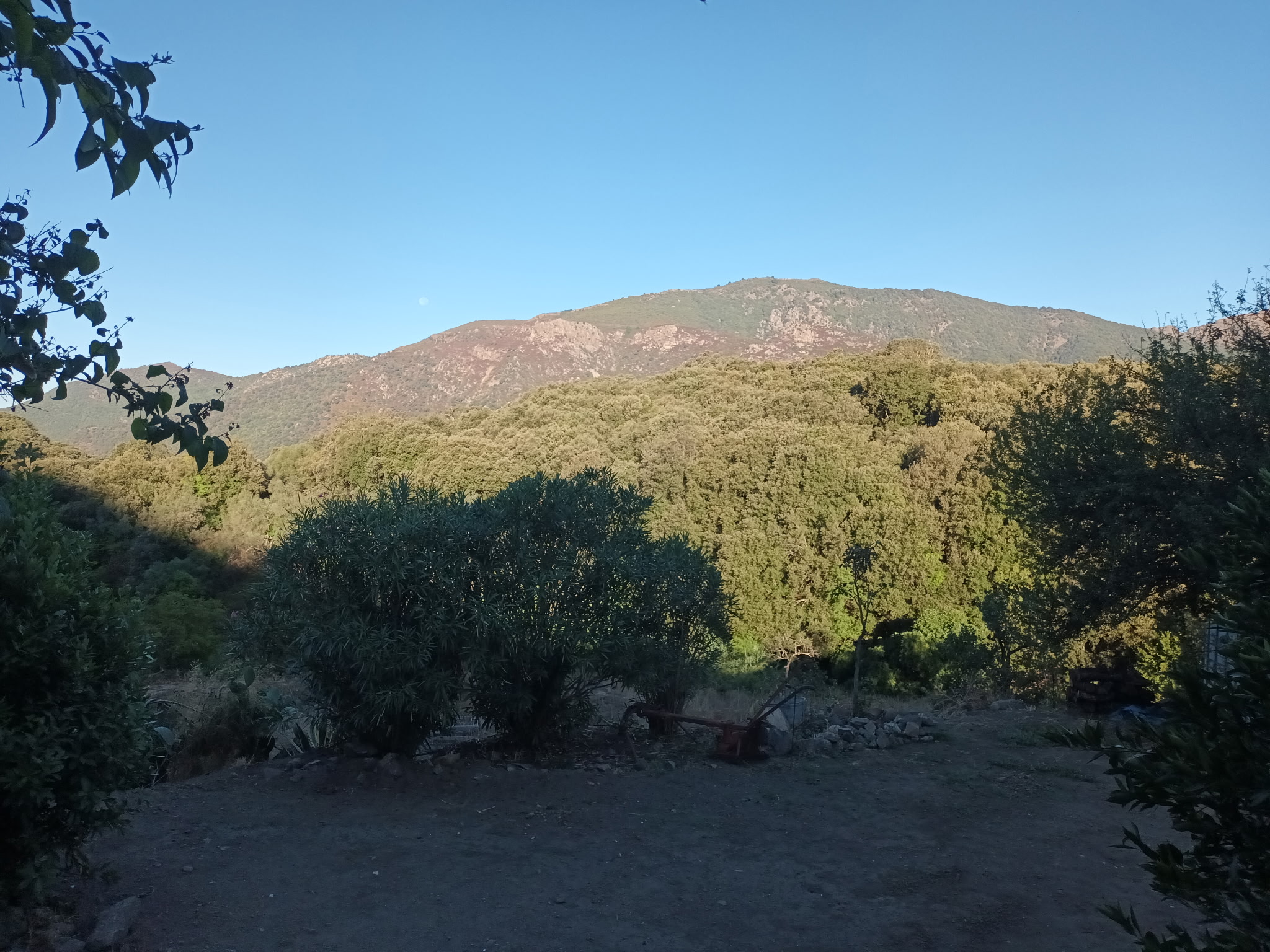 Vue sur la montagne depuis l'extérieur du logement
